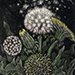 Masahiro Kurita Gallery